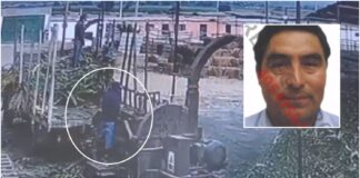 Hombre muere máquina trituradora de alimentos perú