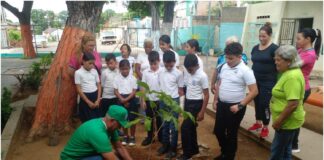 siembra árboles maracaibo