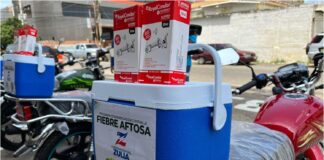 fiebre aftosa zulia