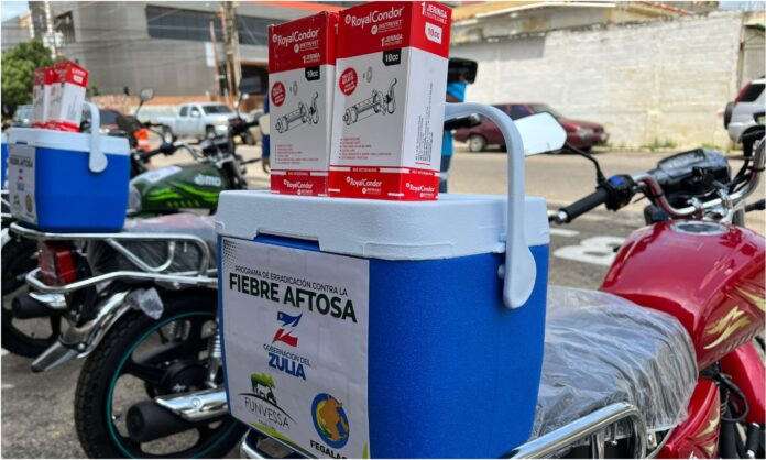 fiebre aftosa zulia