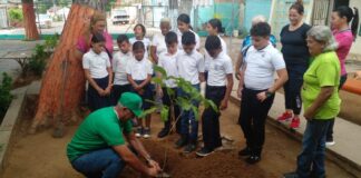 siembra árboles Maracaibo