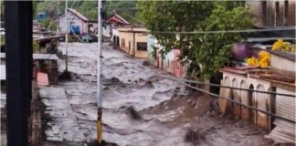 Cumanacoa