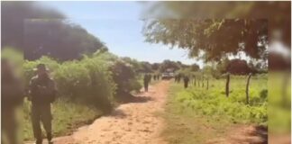 los puertos de altagracia