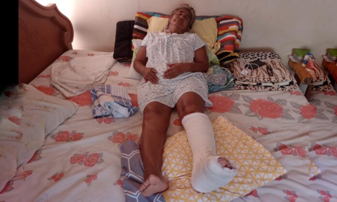 Amparo Escalona adulta mayor