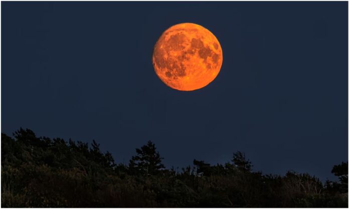 luna de sangre