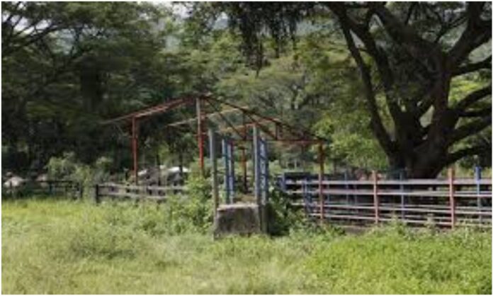 finca machiques