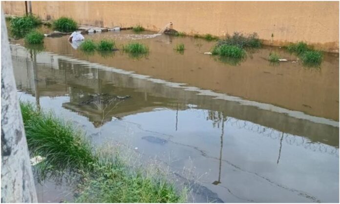 aguas negras