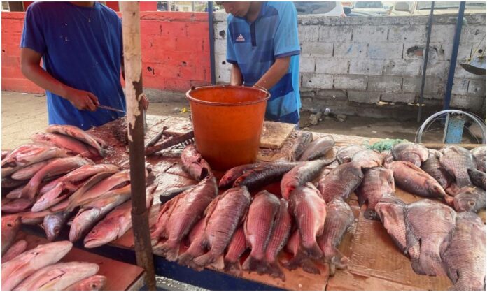 pescado en las pulgas