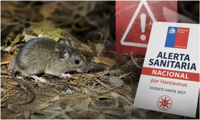 hantavirus alerta