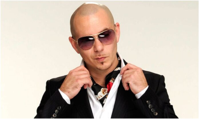 pitbull