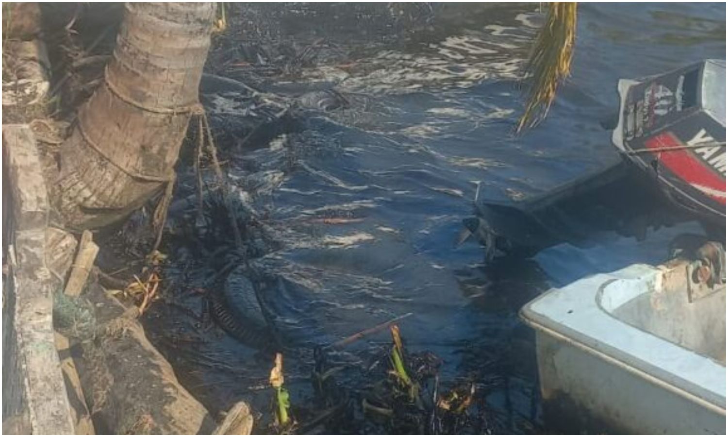 Denuncian nuevo derrame de petróleo en las costas del municipio Valmore Rodríguez