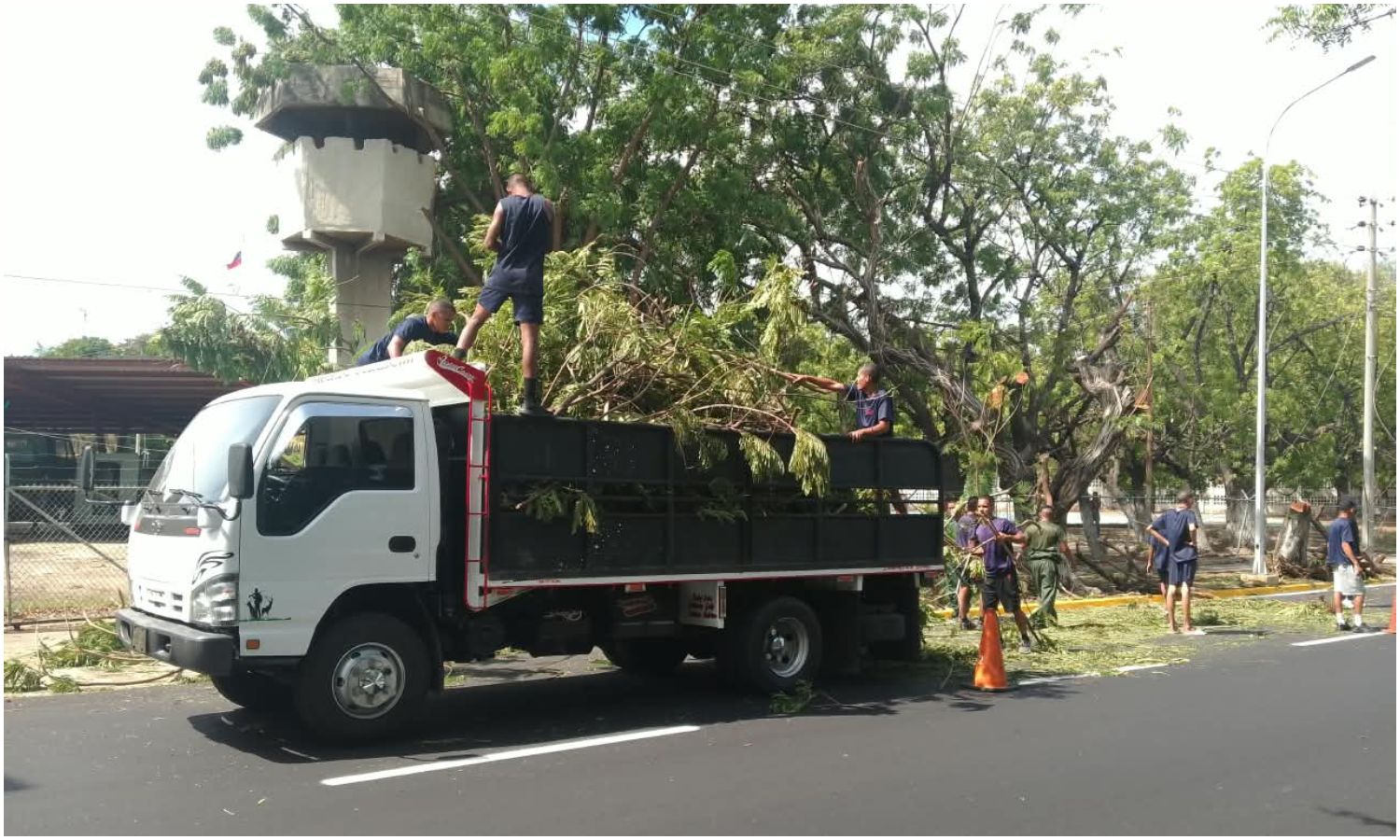 IMA solicita a Corpoelec una mesa de trabajo para coordinar la poda de árboles en Maracaibo